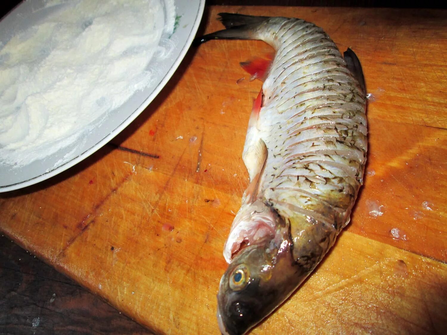 Как готовить голавля. Голавль готовка. жареный голавль. мясо голавля. голавль приготовление.