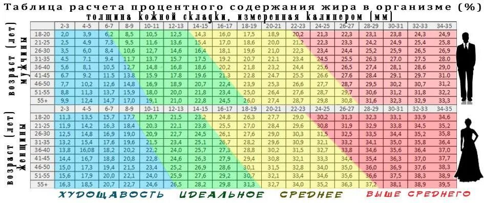 Норма мышц в теле. Таблица измерения подкожного жира. Измерение процента жира калипером таблица. Таблица расчета процентного содержания жира в организме. Таблица процента подкожного жира.