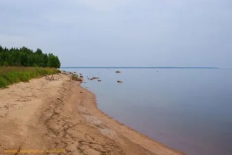 Пропустить берег