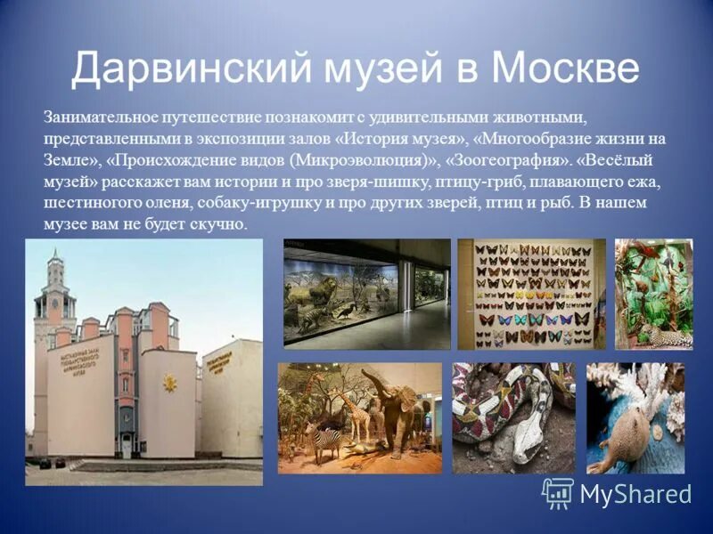 рассказ о музее 2 класс окружающий мир. дарвиновский музей в москве презентация. проект на тему музей. музей третьяковская галерея москва сообщение. дети дошкольники в музее.