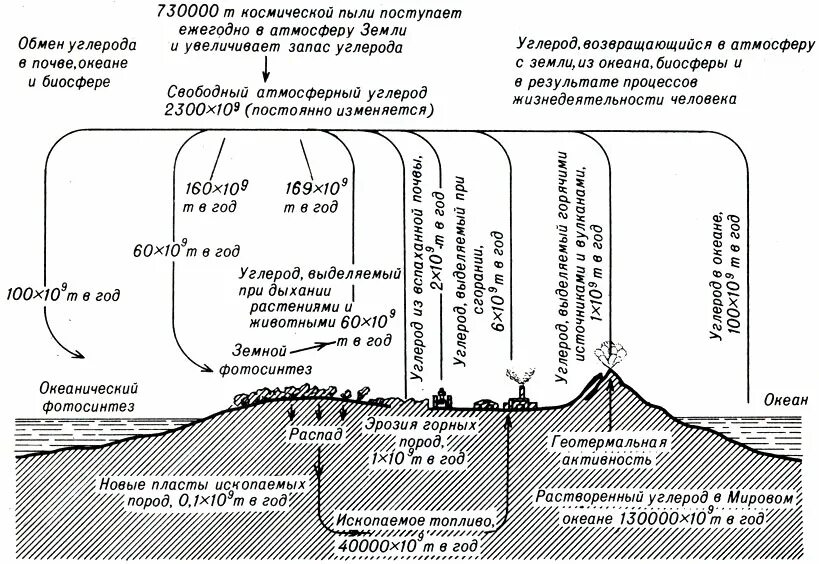 Каким путем связанный углерод возвращается в атмосферу. Геохимический цикл углерода схема. Биохимический цикл углерода схема. Биогеохимический цикл азота схема. Круговорот углерода в атмосфере схема.