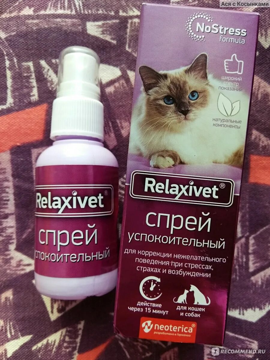 Успокоительное для кошек relaxivet. Успокоительные средства для животных. Успокоительный спрей для кошек. Релаксивет д/жив спрей успокоительный 50мл. Спрей Relaxivet успокоительный, способ применения.