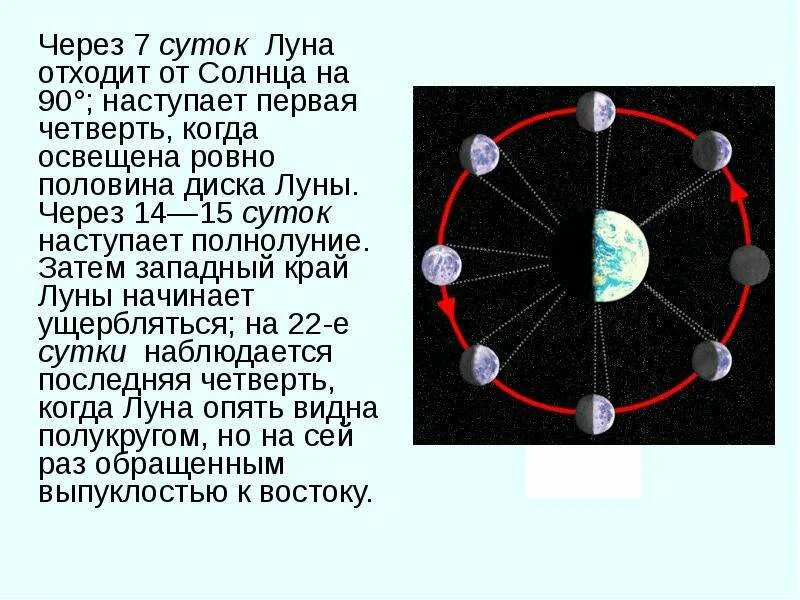 Край диска Луны. Фаза Луны когда половина. Сколько градусов Луна проходит за сутки. Половина солнце половина Леуна. Почему луна половина