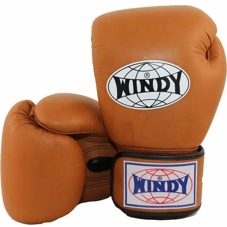 Wind browned. The east wind of the altas. Wind browned. Девушка в облаках. East wind.