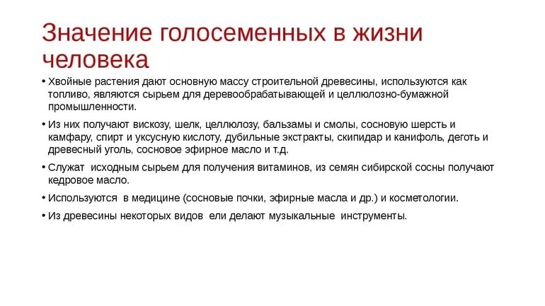 Сообщение роль голосеменных растений. Роль голосеменных в природе и жизни человека. Значение голосеменных растений в природе и жизни человека. Какова роль голосеменных растений в природе и жизни человека. Каково значение хвойных растений в природе назовите