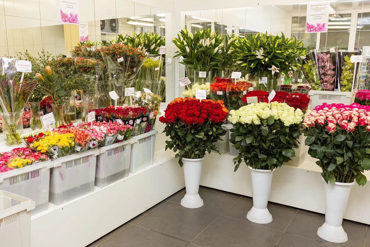 Цветочный отдел. Цветочный магазин. Цветы магазинные. Цветочный бутик. Сколько стоят живые розы