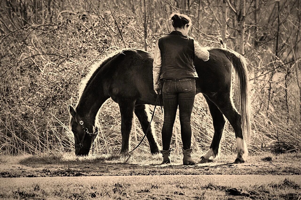 A horse is an animal. Идеальная лошадь. Хвост лошади. Вл. скакун. Женщина с хвостом лошади.