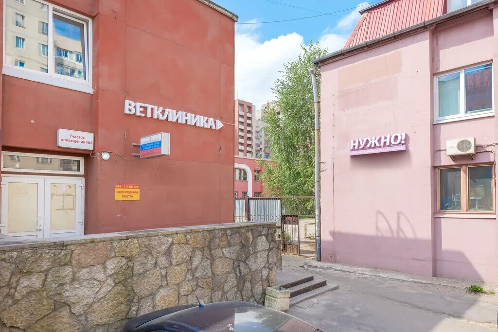 Котина 4. Ветклиника на котина. котина 2.