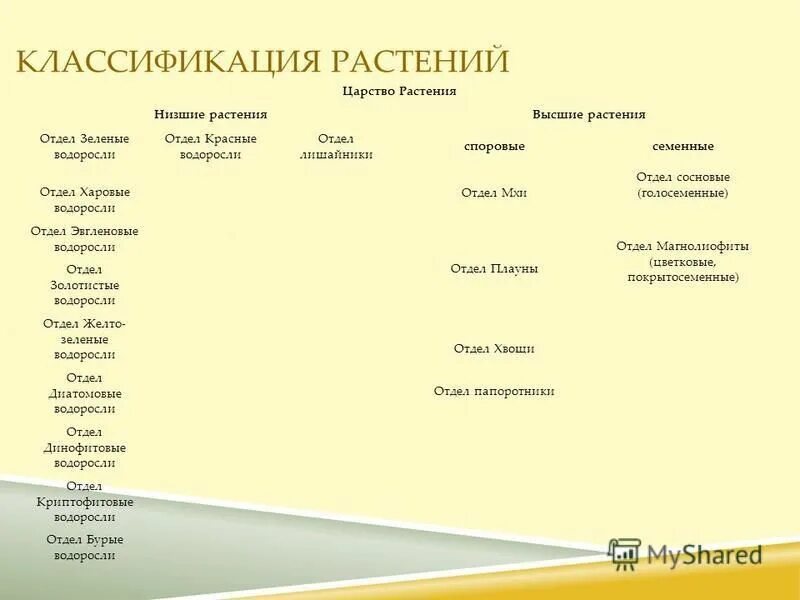 классификация многоклеточных водорослей. классификация растений водоросли. зеленые водоросли схема. классификация растений водоросли. по какой причине водоросли выделены в особую группу царства растений.