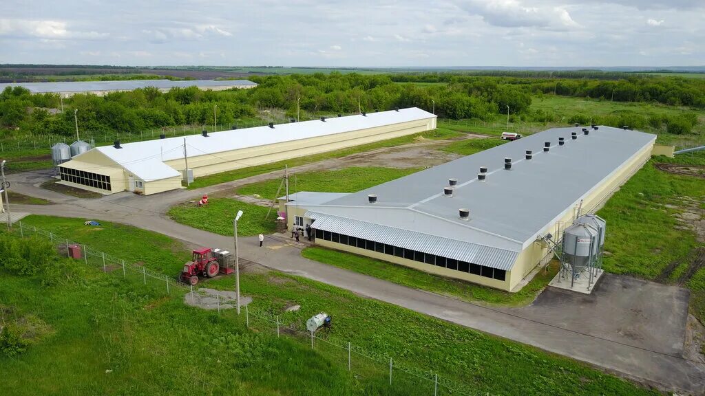 алейниковский инкубатор продукт производства. алейниковский инкубатор россошь цены на 2024. инкубатор в ставрополе на пригородной. началовский инкубатор россошанский. Ry.