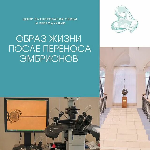Спб гбуз центр планирование и репродукции. Спб гбуз центр планирование и репродукции
