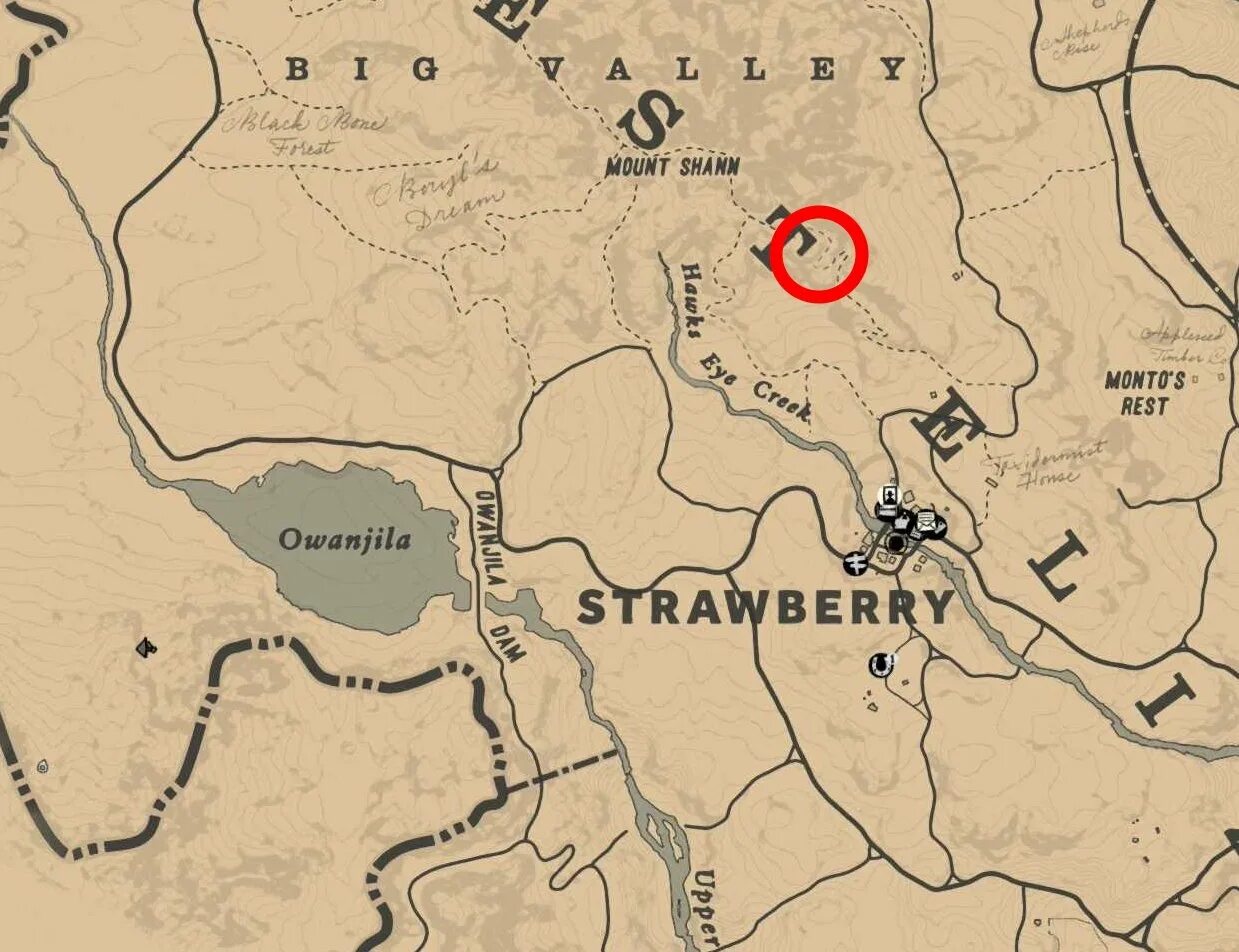 Ошейниковый пекари rdr2. Red dead redemption 2 наскальные изображения карта. Red dead redemption 2 сокровища отиса миллера. Rdr 2 ранчо эмеральд собака желтая. Блэкджек red dead redemption.