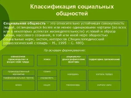 Социальные группы и общности основные виды