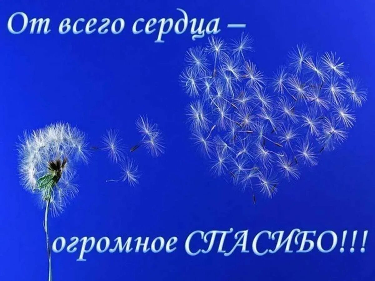 Открытка с благодарностью за поддержку. Открытки с благодарностью за помощь. Спасибо за поддержку. Благодарю за поддержку открытка. Слово спасибо помогает