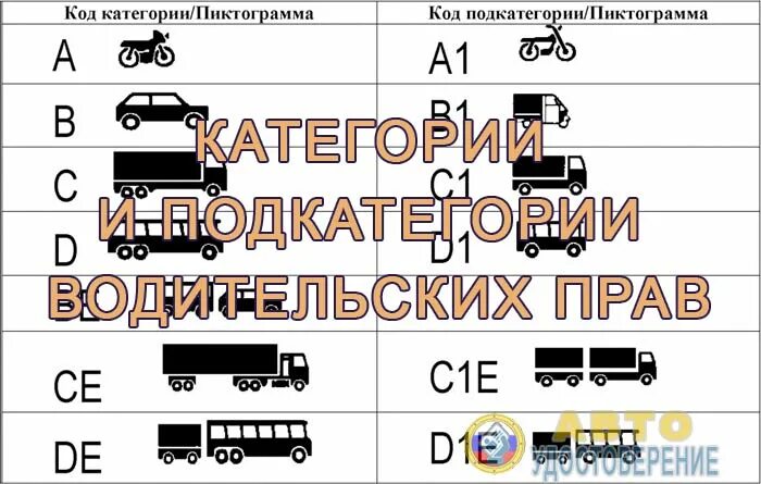 Категория с1е. Категории водительских пра. Подкатегории водительских прав. Категории вождения транспортных средств. Категории и подкатегории транспортных средств.