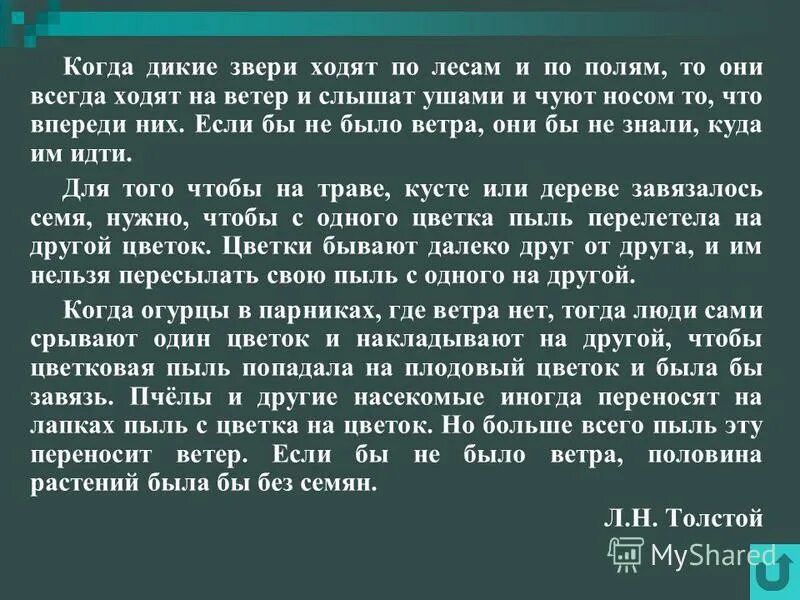 Текст 9 ветер. Когда Дикие звери ходят по лесам и по полям. Для чего ветер когда Дикие. Идёшь по лесу и слышишь. Дикие звери ходят по лесам и по полям изложение.