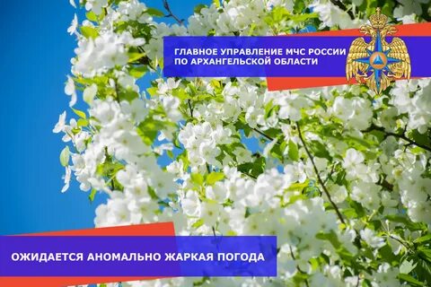 Погода в архангельске в мае