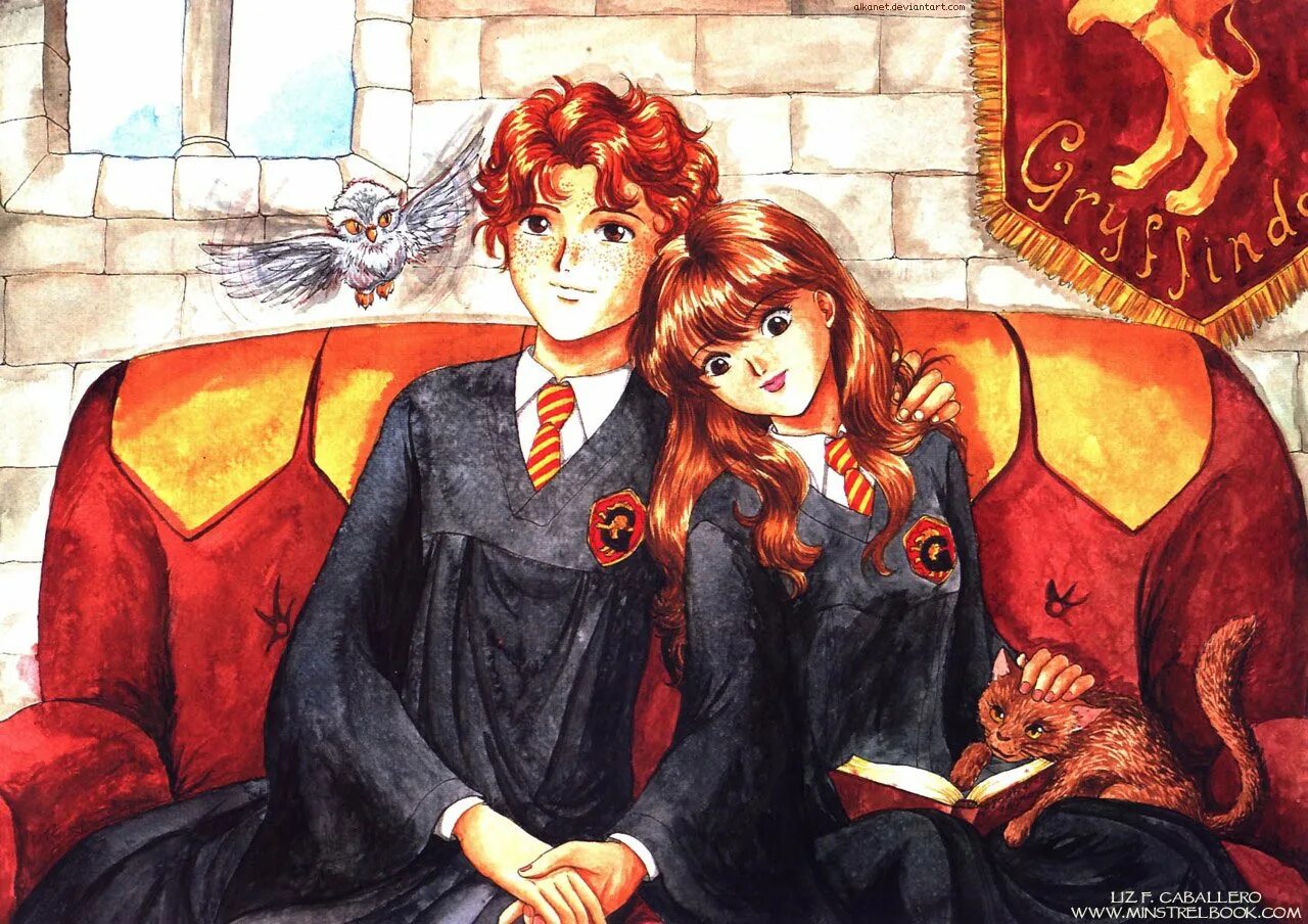 Harry potter and hermione&#039;s