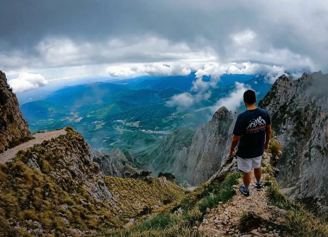 Вайн приложение. Explore popular. Дизайн приложения про книги. Explore popular. Explore popular.