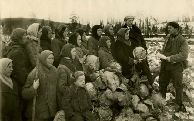 Тагил в годы войны. Урал на войне. Жатва в колхозе. Дети убираю урожай ВОВ.