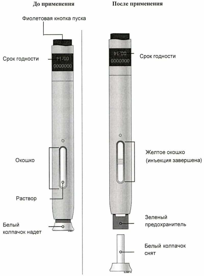 Лизегора