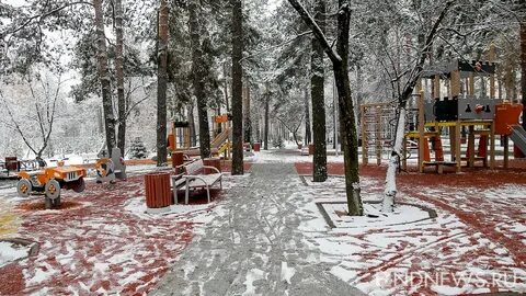 После роща