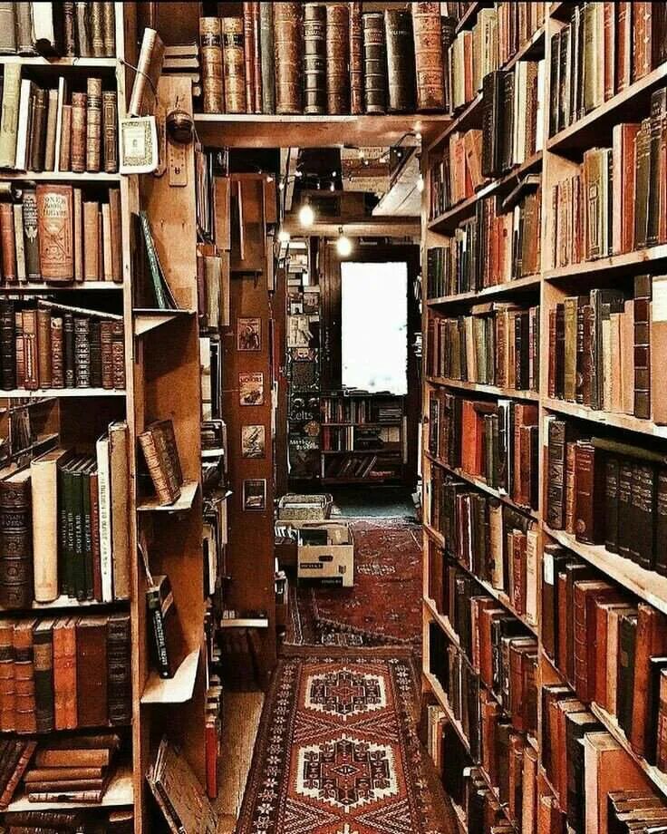 Библиотека старых учебников. Полки для книг. Старинный шкаф с книгами. Библиотечные полки. Старинный стеллаж с книгами.
