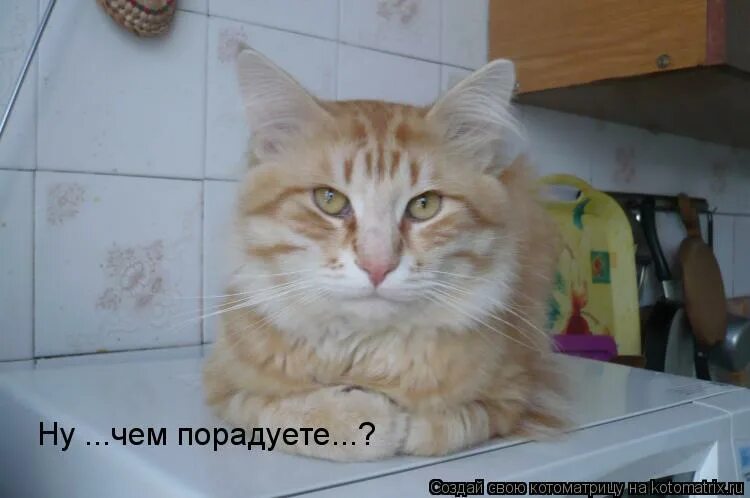 Что удивит что обрадует. Чему можно удивиться. Что удивит что обрадует. От чего можно удивиться. Что удивит что обрадует.