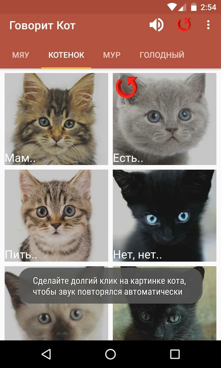 Приложение для котиков. Котики приложения. приложение для котов. кот приложение для андроид. разговоры котов приложение.