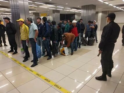 В аэропорту домодедово силовики ведут мигрантов