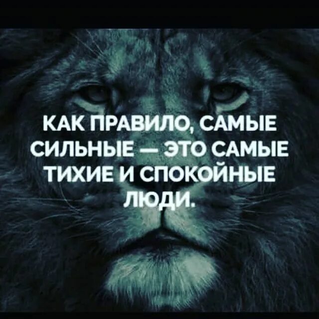 Самое тихое и безмятежное место куда человек может удалиться. Сильные слова. Дурной кот задумался. Оставь его в покое. И безмятежное место, куда человек может удалиться, - это его душа.