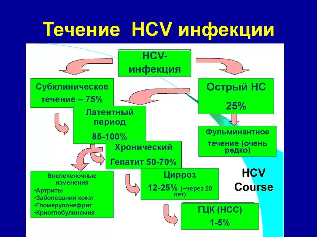 Гепатит б течение. HCV инфекция. HCV течению инфекции. Фульминантное течение инфекционного заболевания. Течение гепатита с.