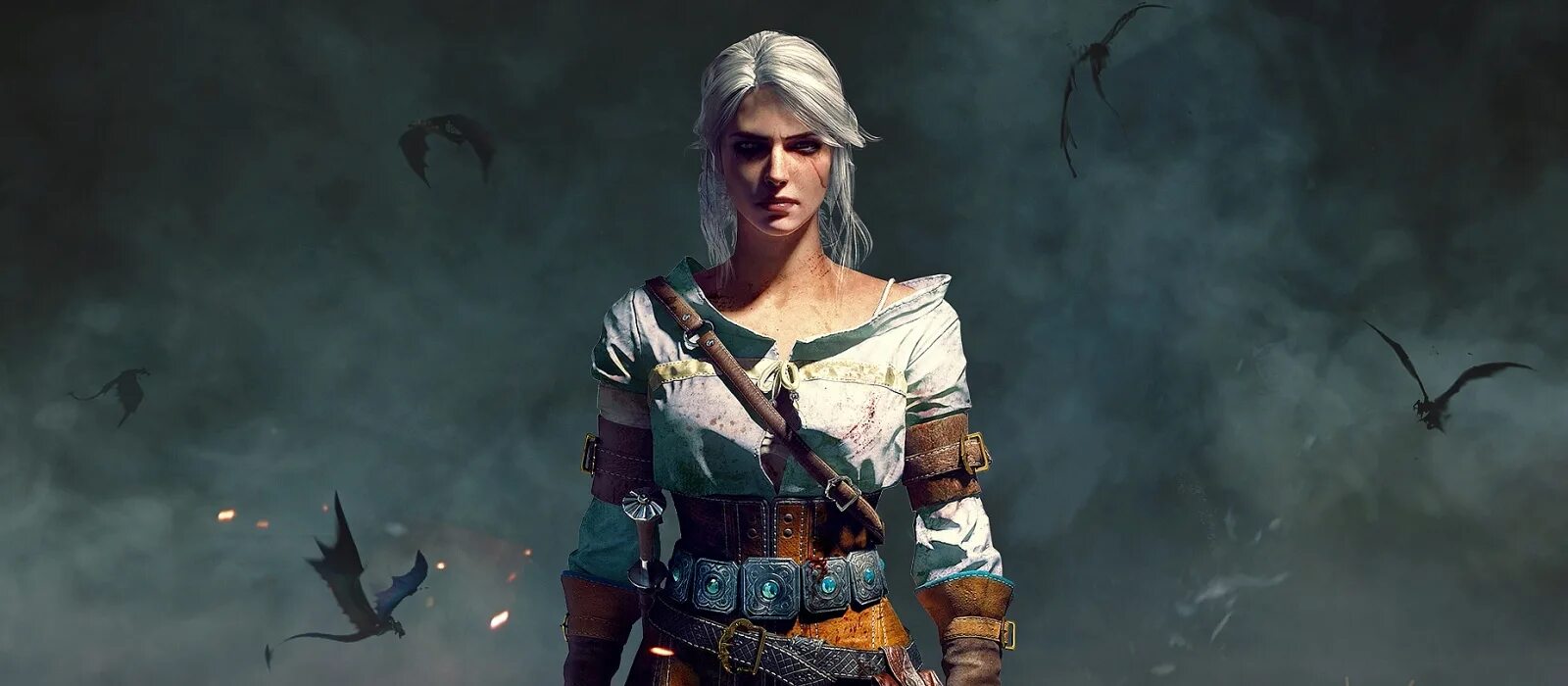 The witcher video game series отзывы. The witcher video game series отзывы