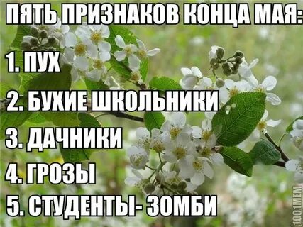Конец дня цитаты