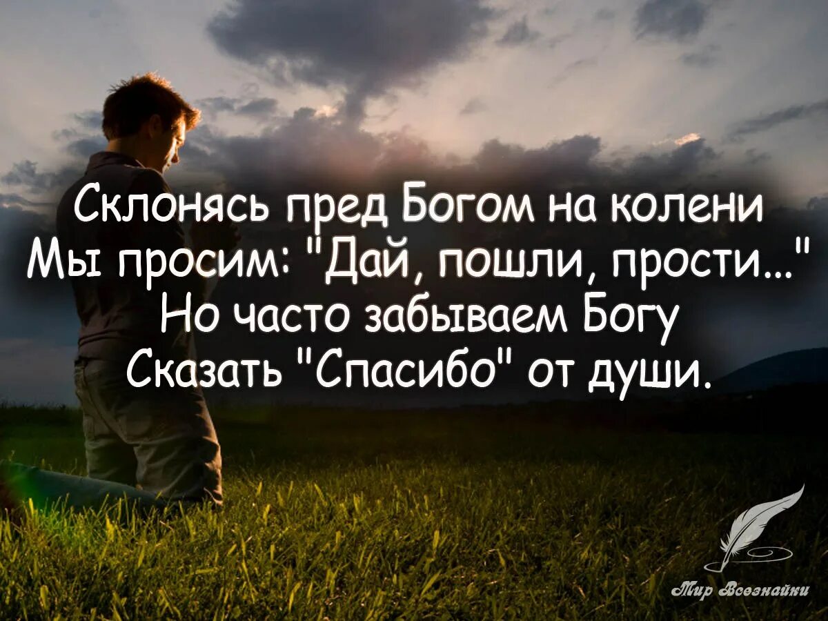 То что мы просили