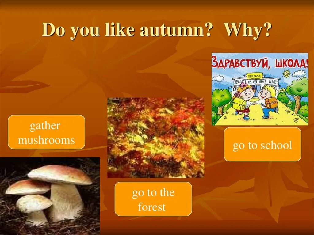 Autumn be like. Презентация времена года. like you. in autumn i like. what do you like to do in autumn ответ на вопрос.