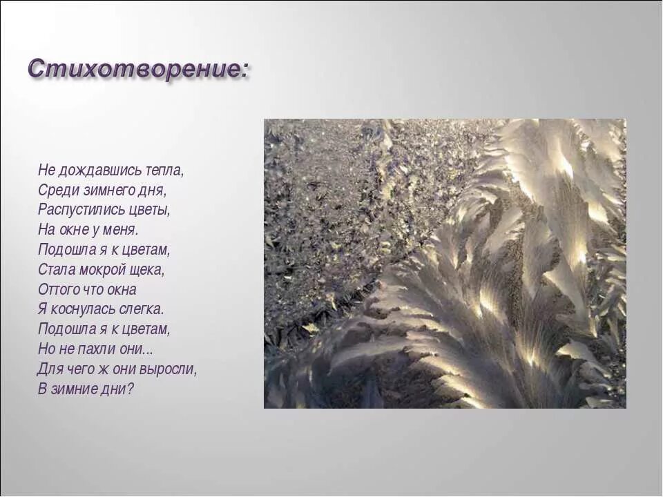 стих узор. стих узор. стихи про морозные узоры. узоры на окне. морозные узоры стихи для детей.