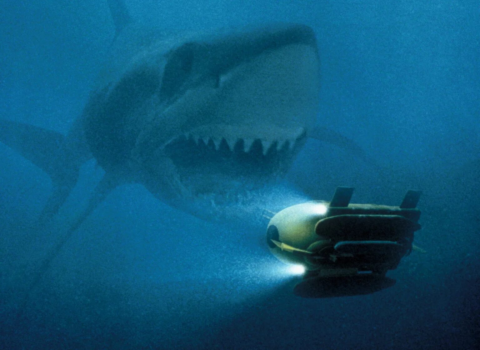 Красное море акулы мегалодон. Рыба мегалодон. Акула-монстр мегалодон жив. Carcharodon megalodon. Отодус мегалодон.