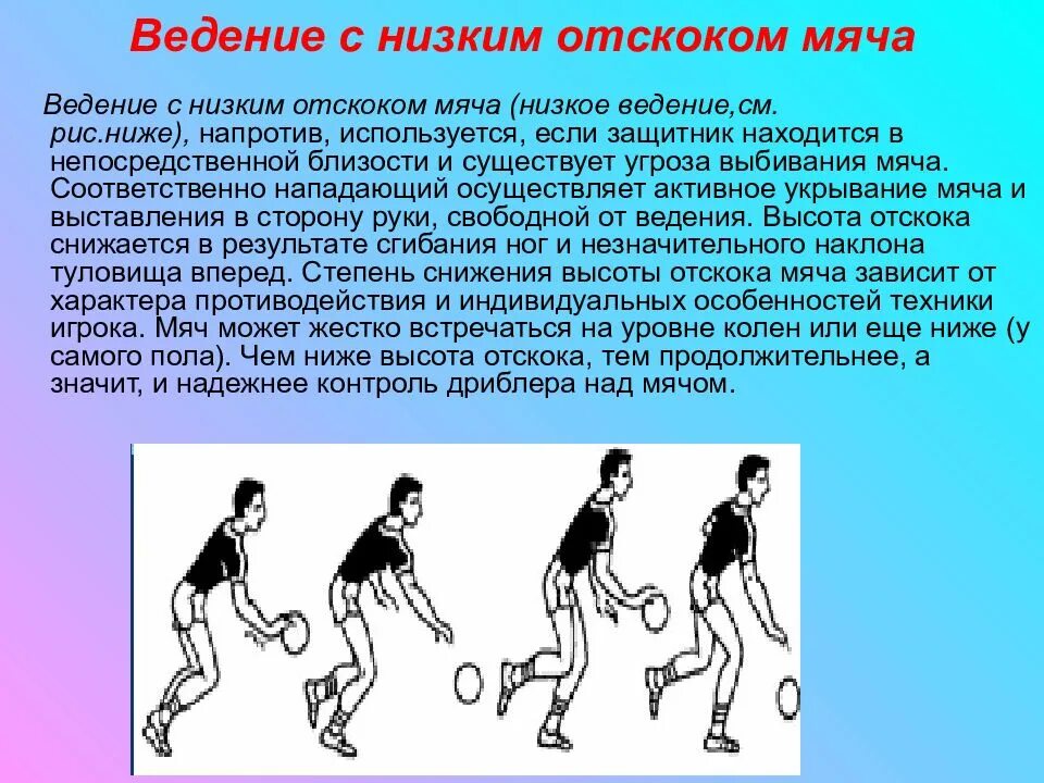 Ведение мяча с изменением высоты отскока в баскетболе. Баскетбол ведение мяча физра. Ведение с низким отскоком мяча в баскетболе. Техника ведения мяча в баскетболе. Когда применяется ведение мяча