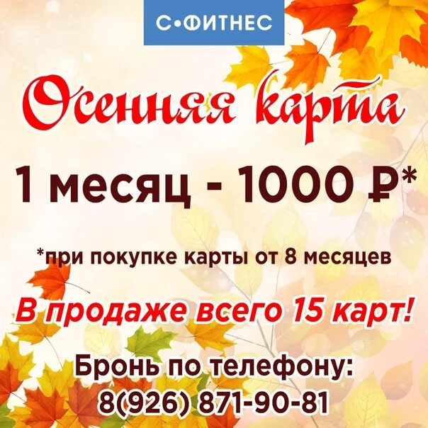 Магазин осень. Ценопад. Магазин осень логотип. Магазин осень. Сеть магазинов осень.