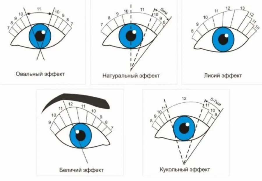 Натуральный эффект наращивания ресниц 2d схема. Натуральный эффект наращивания схема 2д. Беличий эффект наращивания схема 2д. Беличий эффект наращивание ресниц схема. Глазки раскрой