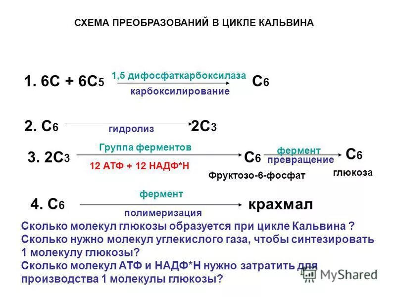 Хемосинтез реакции