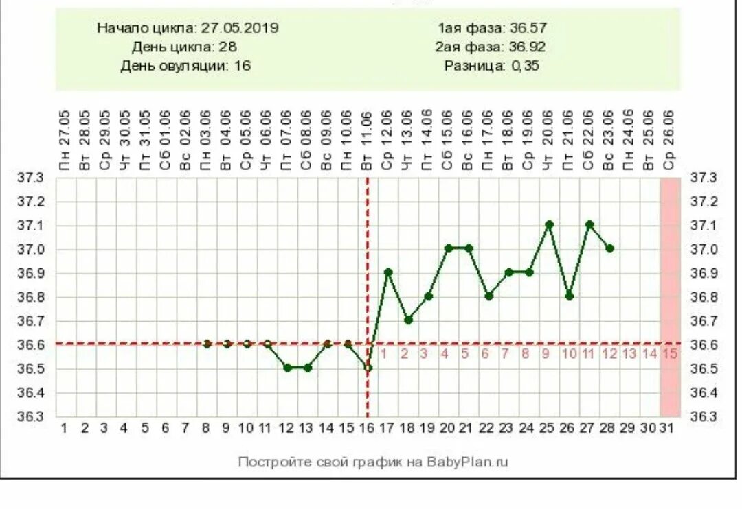 Овуляция раз в сколько. Дни цикла. Цикл овуляции. Овуляция на 24 день цикла. Овуляция при цикле 25 дней.