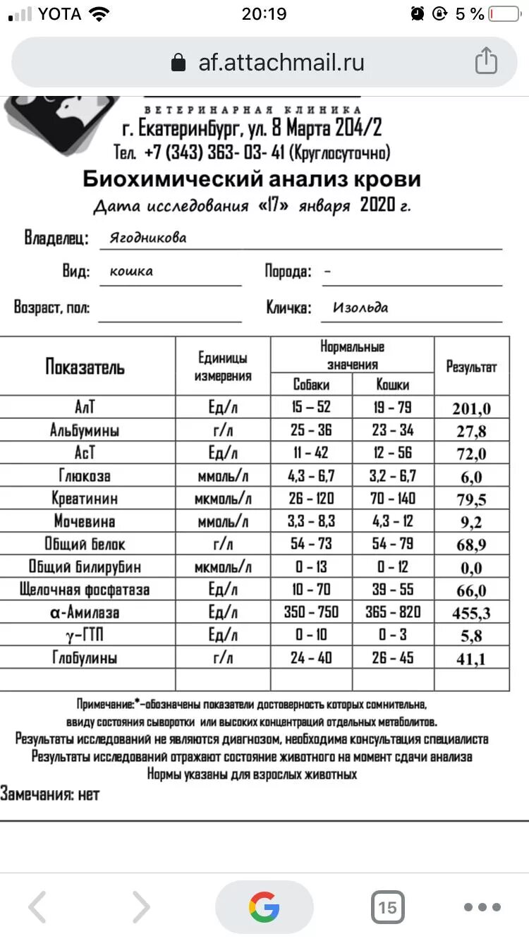 Алт у котов. Что такое показатель АСТ В кошек. АСТ алт повышена у кошки. АСТ понижен у кошки. АСТ высокий у кошки.