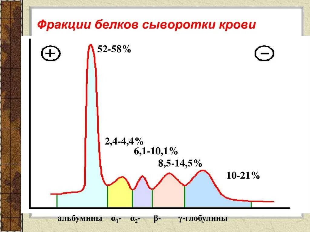 Белки фракции глобулинов. Электрофорез белковых фракций крови. Электрофорез белков сыворотки крови норма. Фракции белков сыворотки крови. Белковые фракции крови биохимия расшифровка.