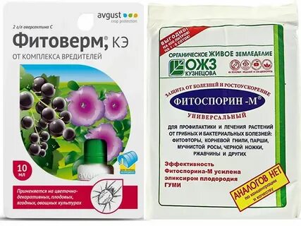 Фитоверм от долгоносика на клубнике отзывы
