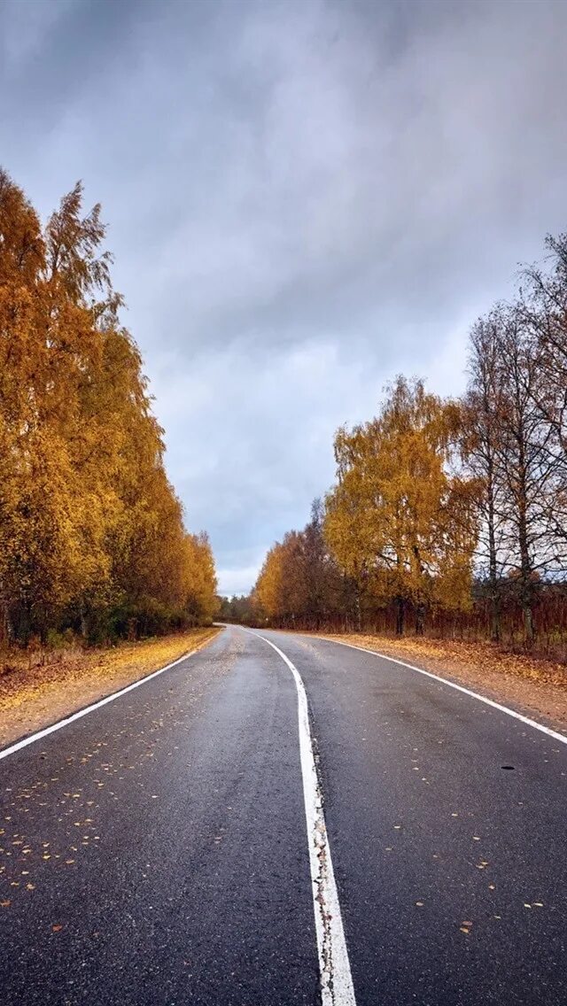 М5 асфальт осень. Дорога. Октябрь дорога. Весенняя дорога асфальт. Асфальт осенью.