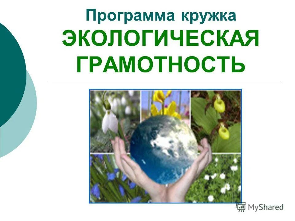 Экологическая грамотность и разумное природопользование 10 класс