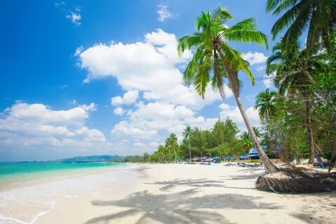 Beaches отзывы