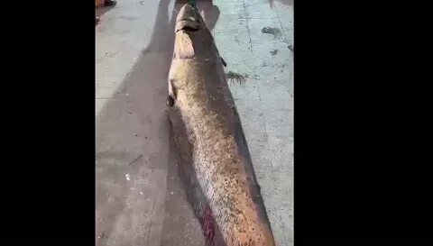Поймали второго